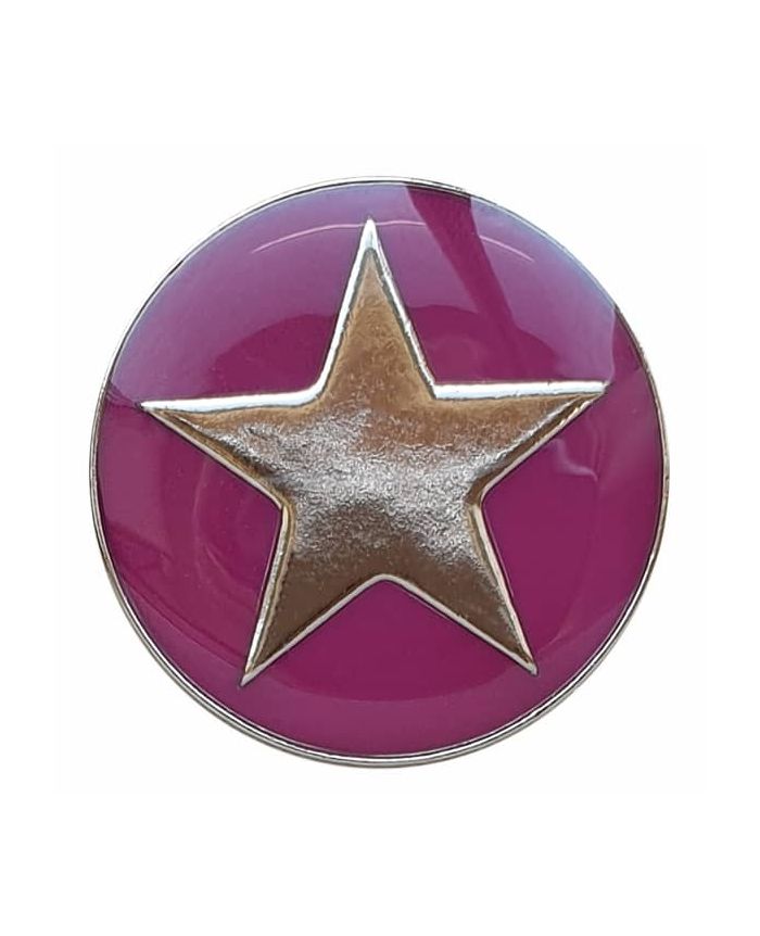 Metal Star button with shank