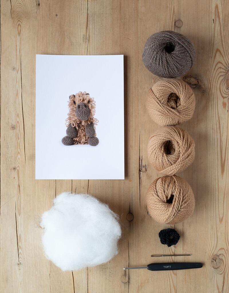 Quincy the Capybara Crochet Kit