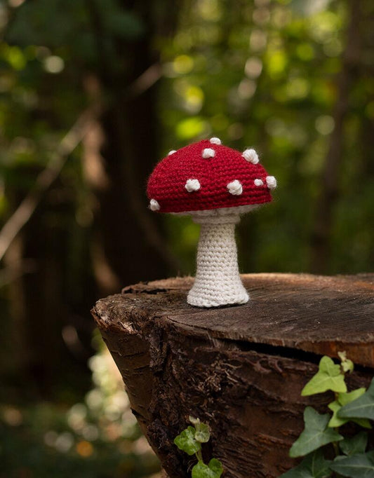 Toadstool Crochet Kit