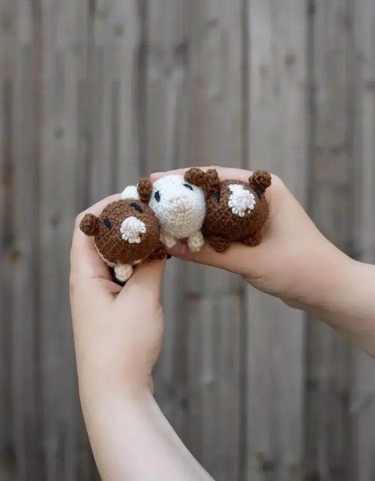 Mini Guinea Pigs crochet kit