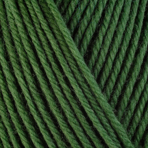 A close-up image of a skein of Berroco Ultra Wool worsted weight yarn in a solid green color.