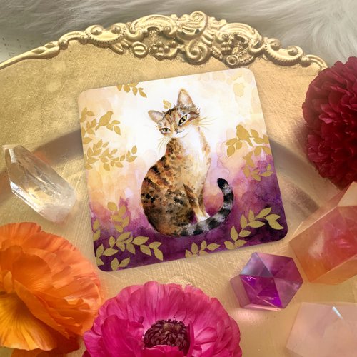 Witch Cats Oracle Deck by Nicole Piar