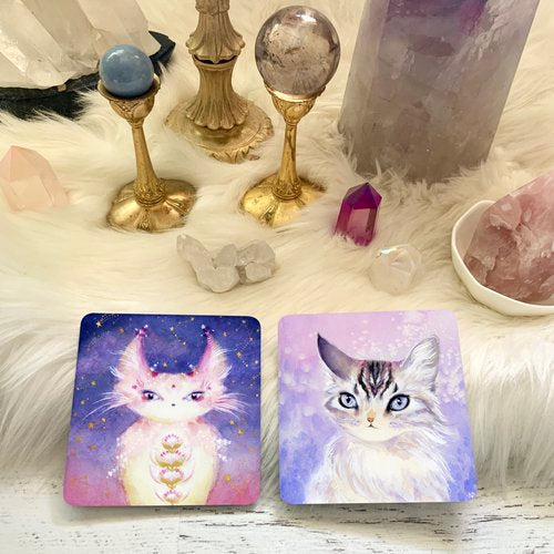 Witch Cats Oracle Deck by Nicole Piar