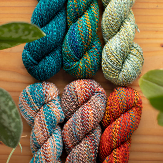 Multiple skeins of Spincycle Yarns in various colors arranged on a wooden surface with leaves scattered around.
