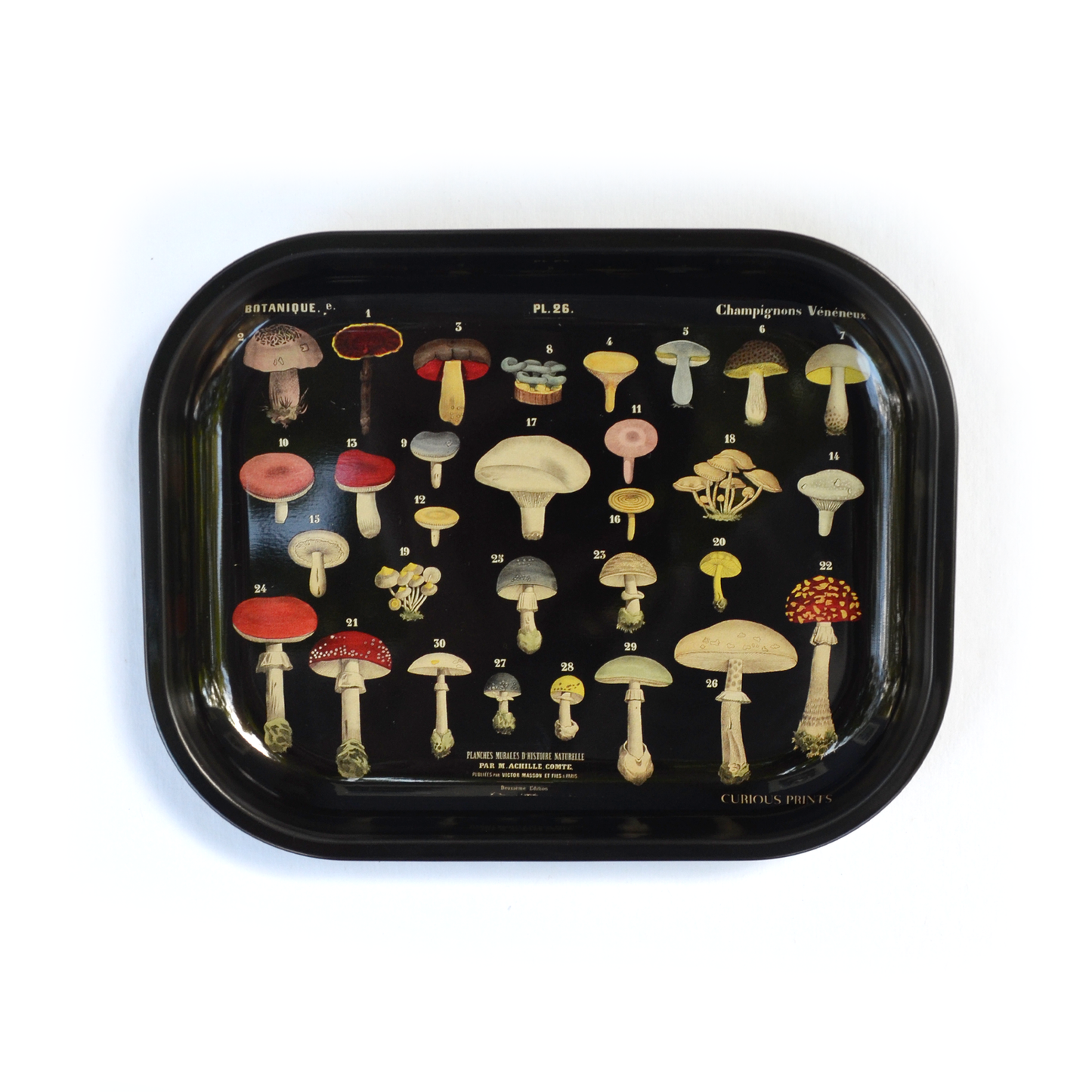 Black Mushroom Notions or Ritual Tray