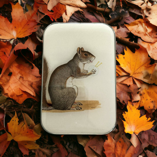 Yarn Squirrel tin